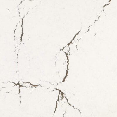 White marble surface with thin, dark grey natural veining running across in various directions.