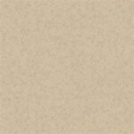 Light beige textured surface with small, subtle speckles scattered evenly throughout the background.
